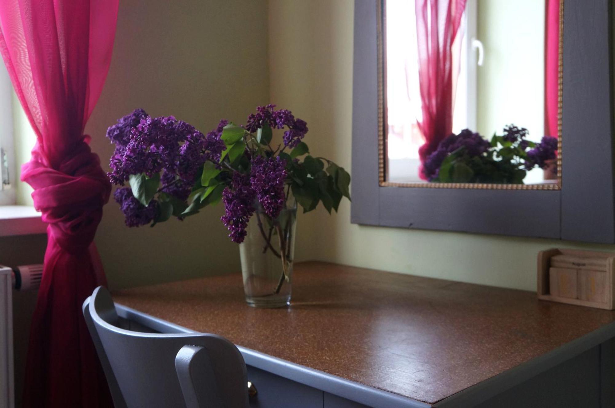 Rudik Apartment Zelezna Ruda