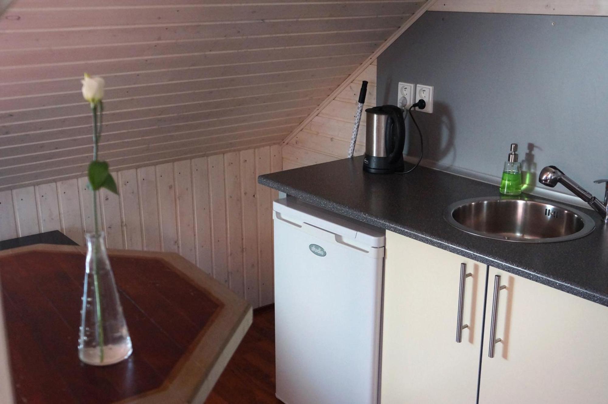 Apartment Rudik Zelezna Ruda